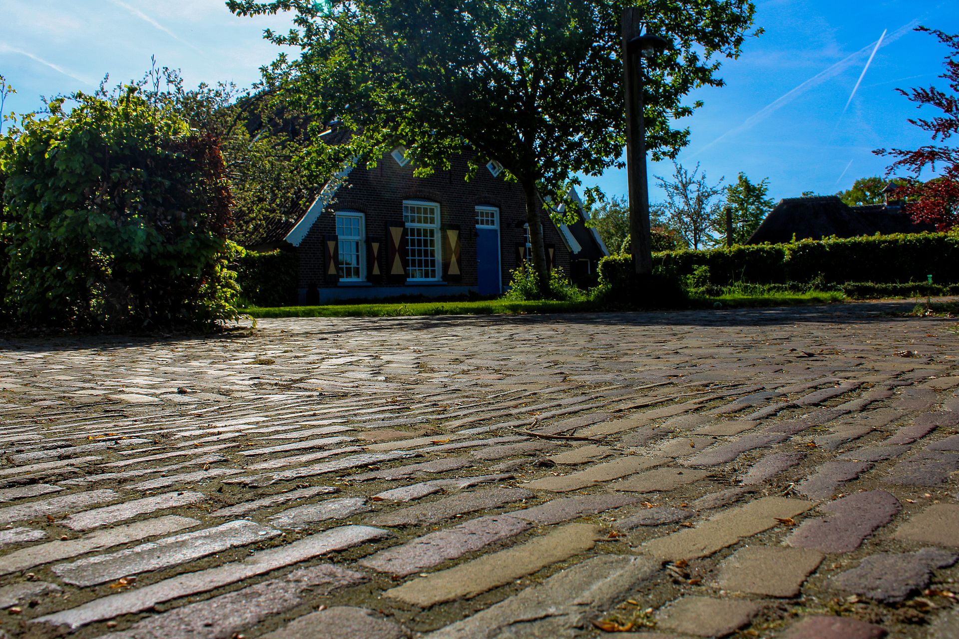 tuin bestrating Assen