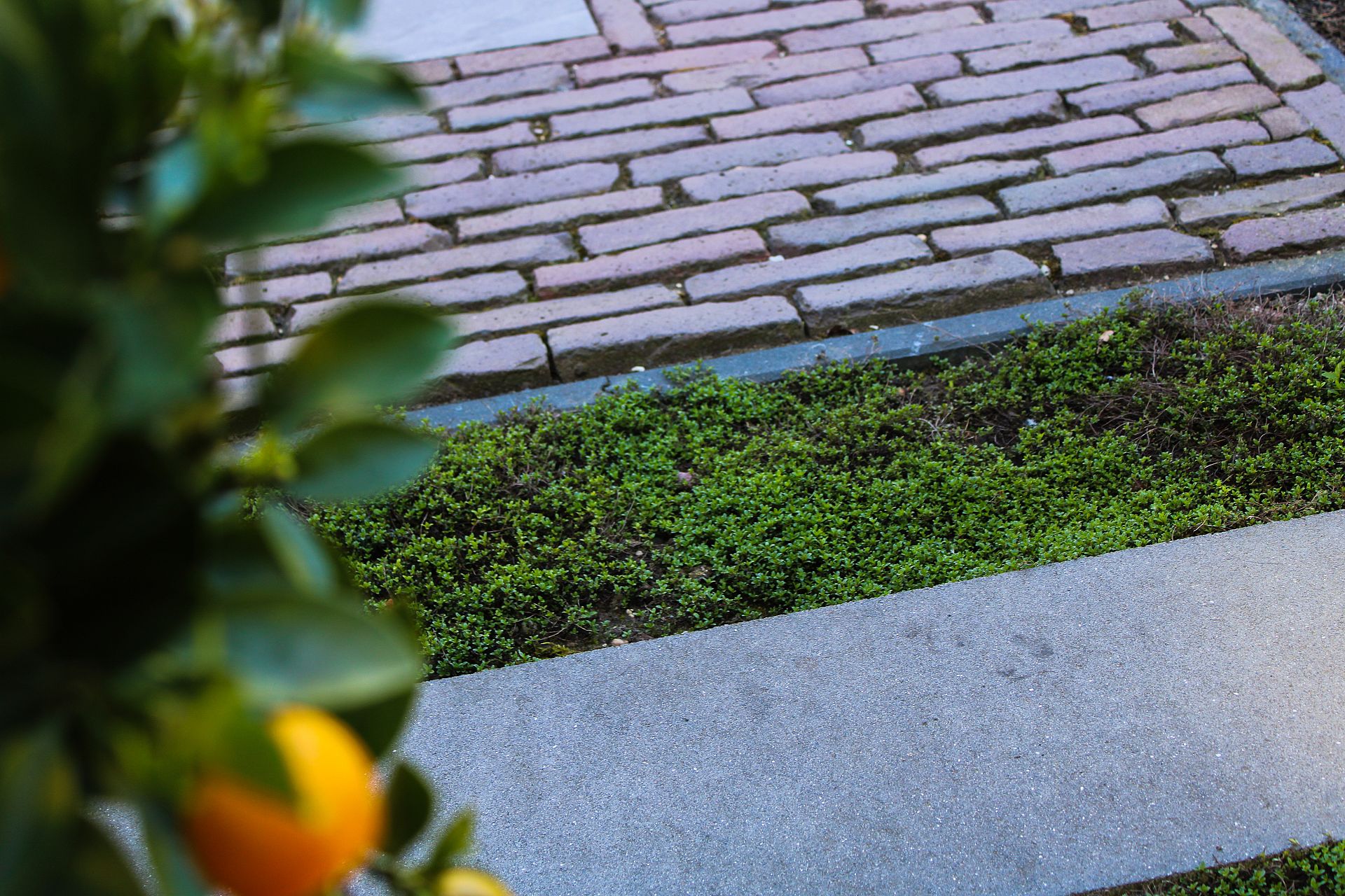 terrastegels kopen Enschede