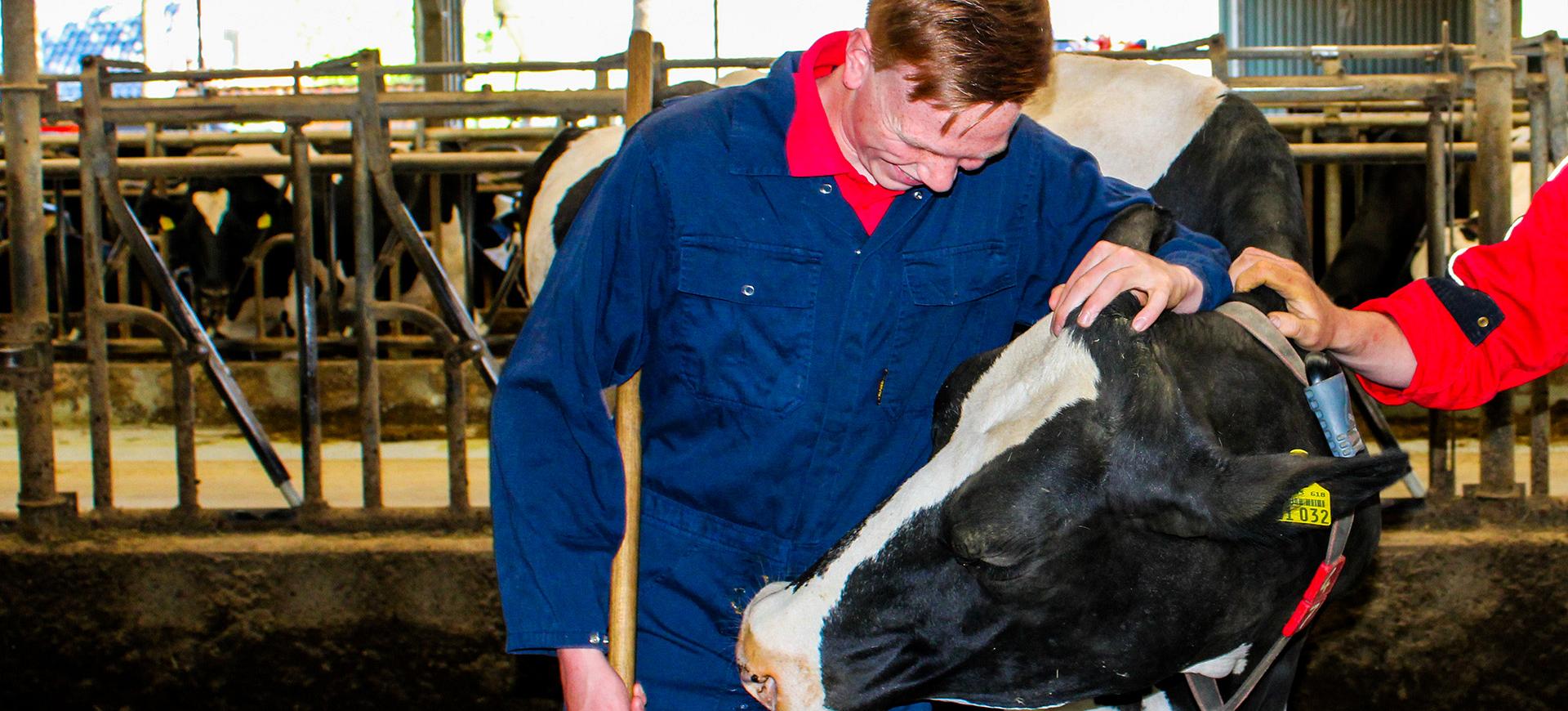 9. groothuis vacature teamleider