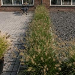 Tremico Betonklinker (BKK) Antraciet 7cm