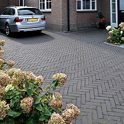 UWF 60 clare bezand ongetrommeld