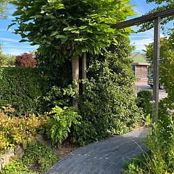 Retrostones Plus, Antraciet , 5 x 20 x 6,4cm