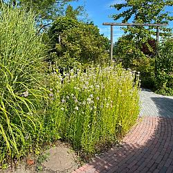 Retrostones Plus, Rood/Bruin, 5 x 20 x 6,4cm