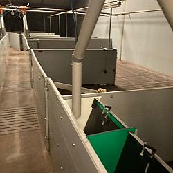 Nette gebruikte varkenstal, ca. 52x43m. incl. inventaris