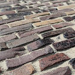 V21, Oude Gebakken Klinkers, Waalformaat, Genuanceerd, ob