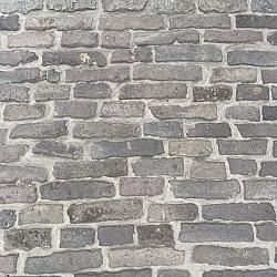 V113, Oude Gebakken Klinkers, Waalformaat, Genuanceerd, ob