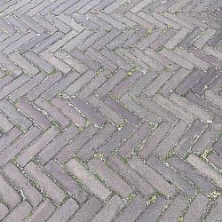 WDri, V20 Oude Gebakken Klinkers, Waalformaat, Genuanceerd