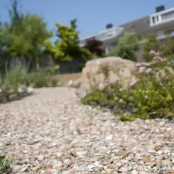 Schelpen Schoongewassen 3-20mm mini bag 350 kg