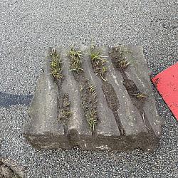 Gebruikte Grasbetontegels, 40x40x12cm