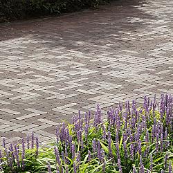 UWF 60 bolton bezand getrommeld