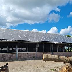 Gebruikte Rundveestal, Staalconstructie, ca. 25x55m