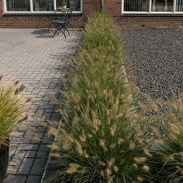 Tremico Betonklinker (BKK) Antraciet 7cm