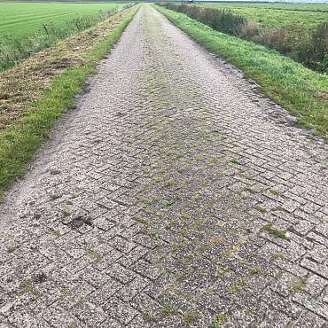 Diverse, Gebruikte Betonklinkers, Grijs, 7/8cm dik