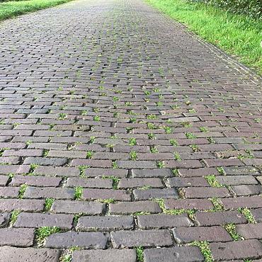 V45, Oude Gebakken Klinkers, Dikformaat, Rood-Paars genuanceerd