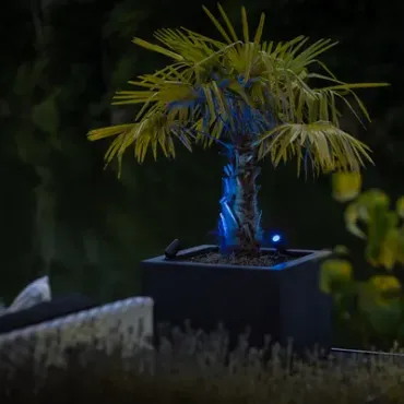 Castor SMART (Zigbee)