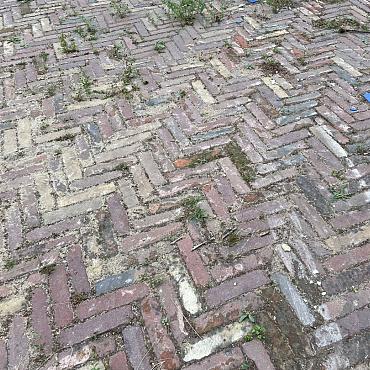 SBV16, Oude Gebakken Klinkers, Waalformaat, Genuanceerd