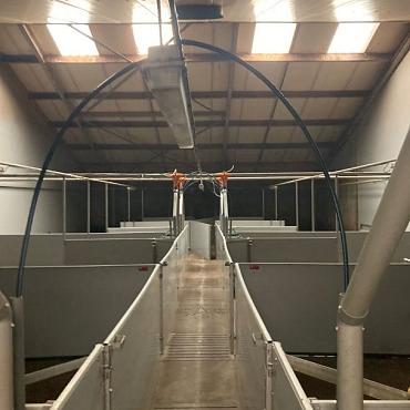 Nette gebruikte varkenstal, ca. 52x43m. incl. inventaris