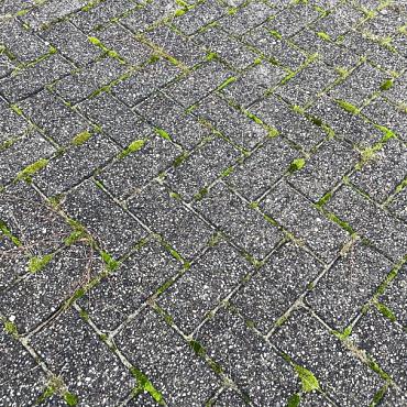 Gebruikte Betonklinkers, Grijs 8cm, werk Zwolle