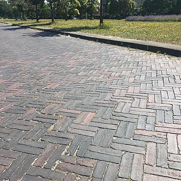 SBP20, Oude Gebakken Klinkers, Dikformaat, Paars-Antraciet