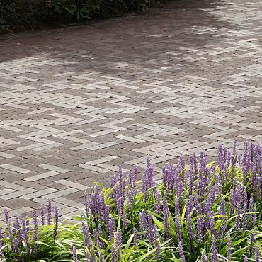 UWF 60 bolton bezand getrommeld