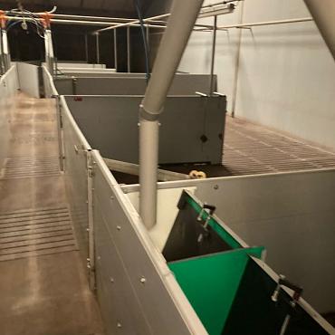 Nette gebruikte varkenstal, ca. 52x43m. incl. inventaris