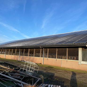 Gebruikte Rundveestal, Staalconstructie, ca. 25x55m