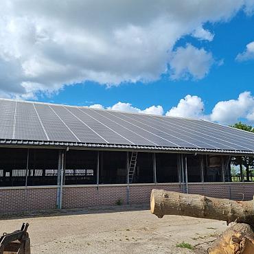 Gebruikte Rundveestal, Staalconstructie, ca. 25x55m