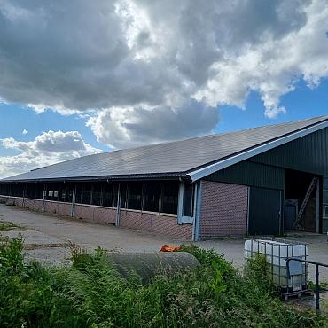 Gebruikte Rundveestal, Staalconstructie, ca. 25x55m