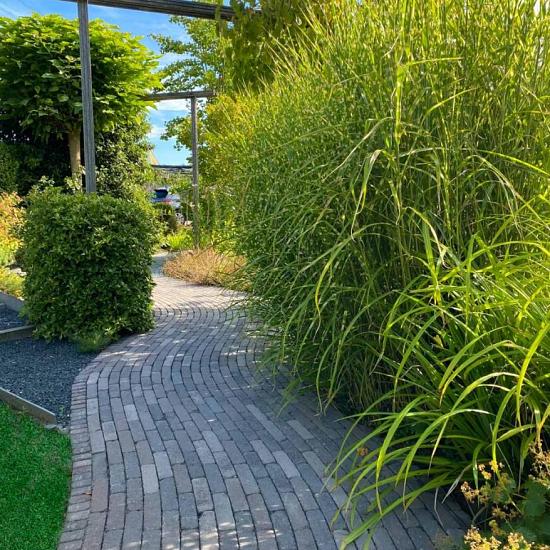 Retrostones Plus, Paars/Bruin, 5 x 20 x 6,4cm