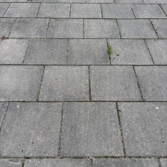 P066, Gebruikte Betontegels, 50x50x5cm, Grijs