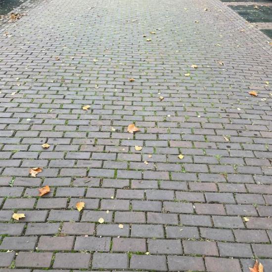 V60 Oude gebakken klinkers, Keiformaat rood-paars