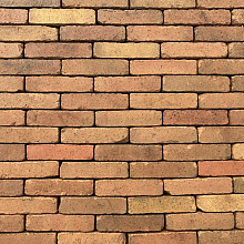 P022, Oude Gebakken Klinkers, Waalformaat, Okergeel